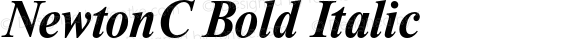 NewtonC Bold Italic