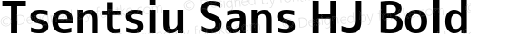 Tsentsiu Sans HJ Bold