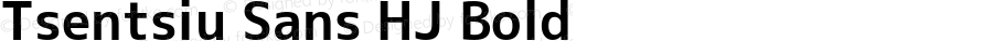 Tsentsiu Sans HJ Bold Version 1.059
