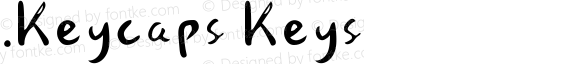 .Keycaps Keys