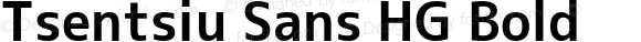 Tsentsiu Sans HG Bold