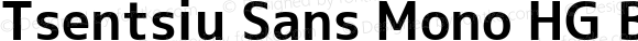 Tsentsiu Sans Mono HG Bold