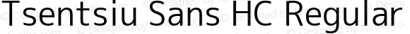 Tsentsiu Sans HC Regular