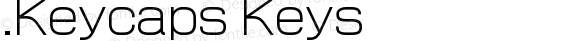 .Keycaps Keys