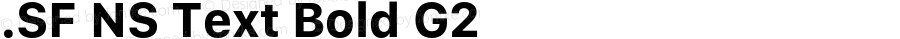 .SF NS Text Bold G2