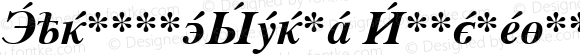 CyrillicSerif BoldItalic