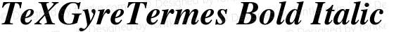 TeXGyreTermes Bold Italic