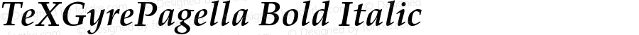 TeXGyrePagella Bold Italic