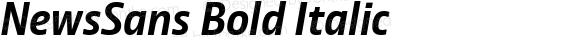 NewsSans Bold Italic