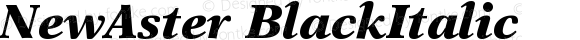 NewAster BlackItalic