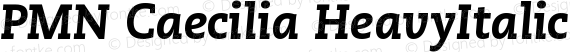 PMN Caecilia HeavyItalic