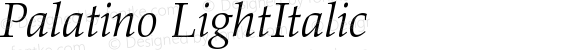 Palatino LightItalic