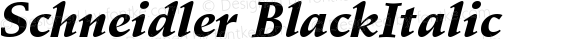 Schneidler BlackItalic