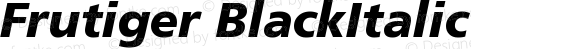 Frutiger BlackItalic