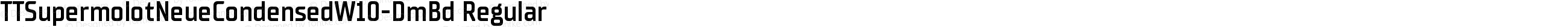 TTSupermolotNeueCondensedW10-DmBd Regular