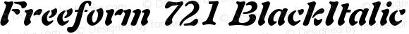 Freeform 721 Black Italic