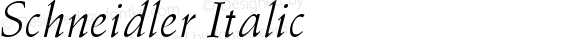 Schneidler Italic