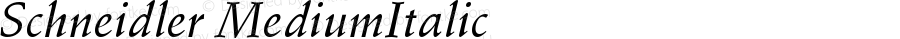 Schneidler MediumItalic