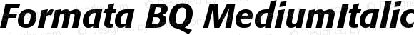 Formata (R) Medium Italic