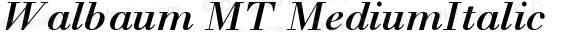 Walbaum MT MediumItalic