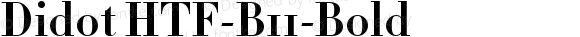 Didot-HTF-B11-Bold