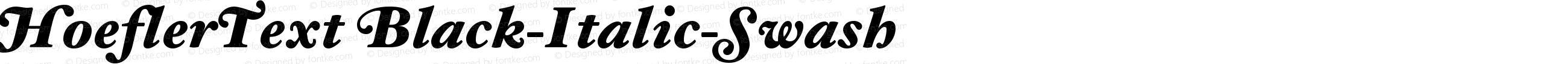 HoeflerText Black-Italic-Swash