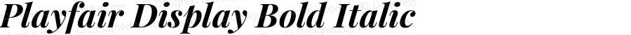 Playfair Display Bold Italic