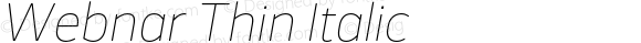 Webnar Thin Italic