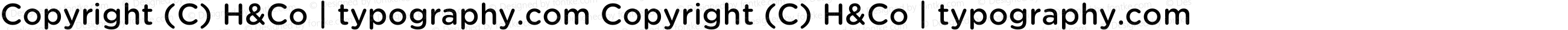 Copyright (C) H&Co | typography.com