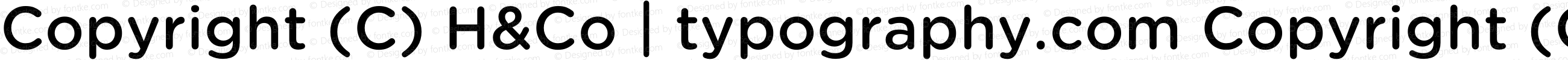 Copyright (C) H&Co | typography.com