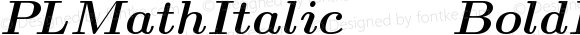 PLMathItalic10 BoldItalic