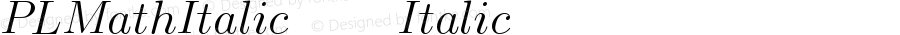 PLMathItalic12 Italic