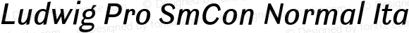 Ludwig Pro SmCon Normal Italic