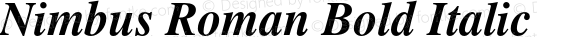 Nimbus Roman Bold Italic