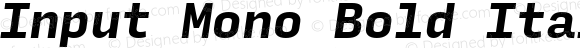 Input Mono Bold Italic