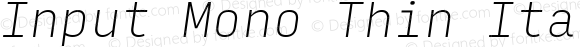 Input Mono Thin Italic