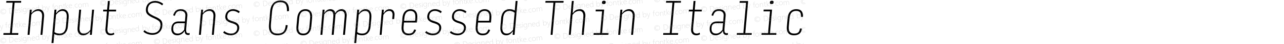 Input Sans Compressed Thin Italic