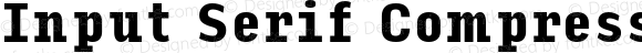 Input Serif Compressed Black