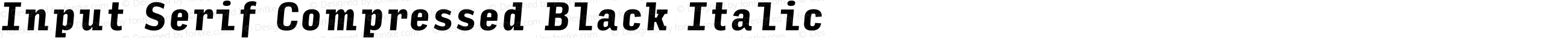 Input Serif Compressed Black Italic