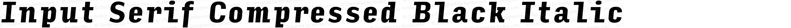 Input Serif Compressed Black Italic