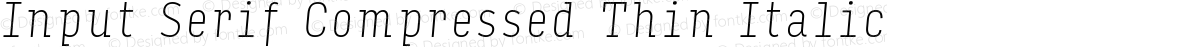 Input Serif Compressed Thin Italic