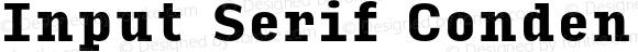 Input Serif Condensed Black