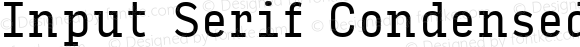 Input Serif Condensed Regular