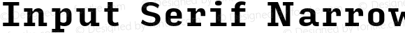 Input Serif Narrow Bold