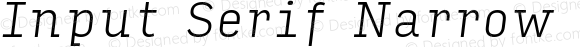 Input Serif Narrow Extra Light Italic