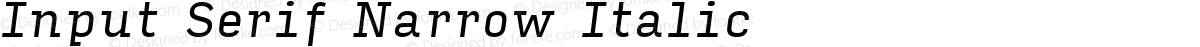 Input Serif Narrow Italic