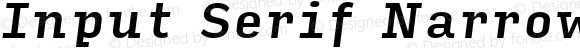 Input Serif Narrow Medium Italic