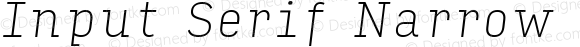 Input Serif Narrow Thin Italic