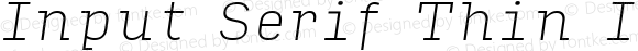 Input Serif Thin Italic