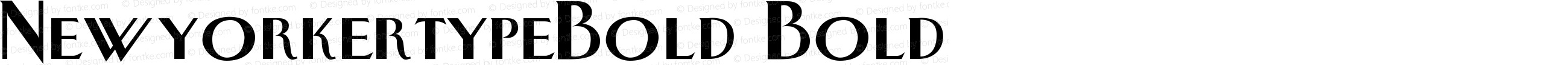 NewyorkertypeBold Bold